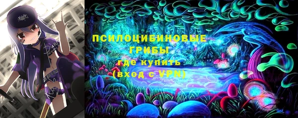 ALPHA-PVP Белокуриха