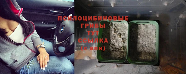 трава Богородицк
